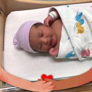 Meet your Posher, Wiilo badal ali